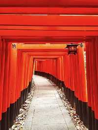 โอซาก้า🇯🇵