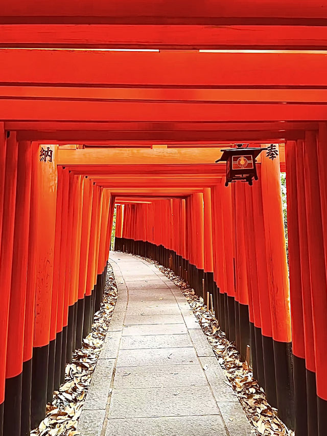 โอซาก้า🇯🇵