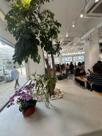 石塘咀特色cafe