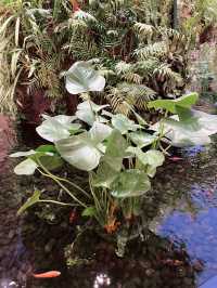 “The Enchanted Garden at Changi T2: A Serene Escape in the Sky”