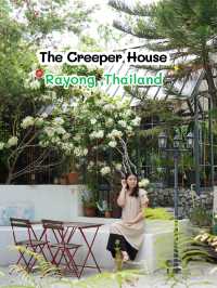 🍰 The Creeper House คาเฟ่สวยขนมอร่อย จ.ระยอง