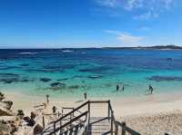 A Quokka Selfie, Ocean Breeze & Ferry Views – My Perfect Day at Rottnest Island!