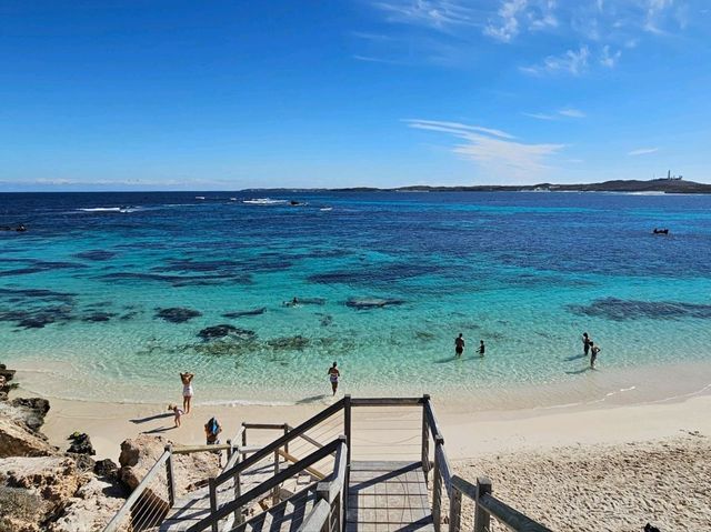 A Quokka Selfie, Ocean Breeze & Ferry Views – My Perfect Day at Rottnest Island!
