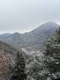 津和野城跡（需搭纜車）