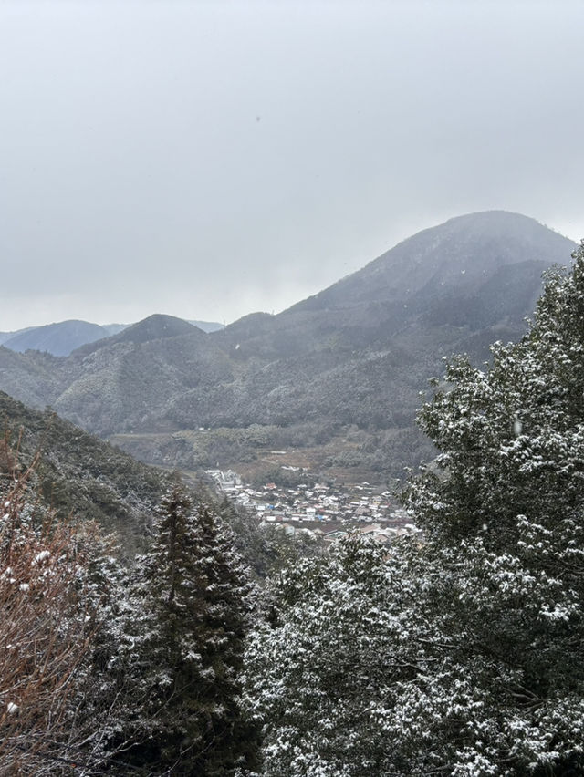 津和野城跡（需搭纜車）