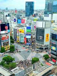 Shibuya Moments: From the Crossing to Hachikō