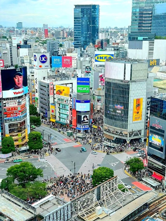 Shibuya Moments: From the Crossing to Hachikō
