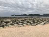 宮崎-鬼之洗衣板