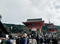 高cp值京阪自由行-day3