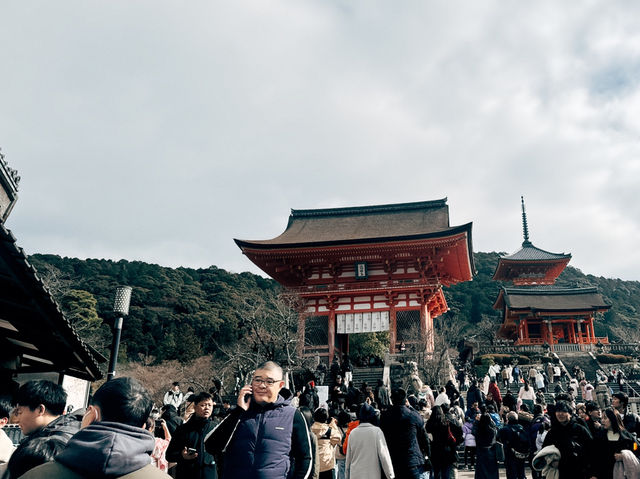 高cp值京阪自由行-day3