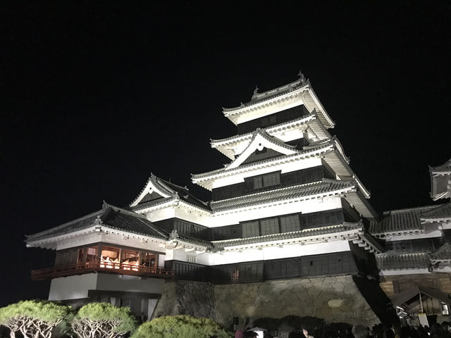 松本城-夜櫻（限定）