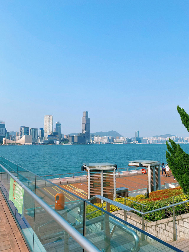 Victoria Harbour’s Ultimate Chill Zone 🌤️