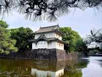 ชมรอบ Imperial Palace✨️