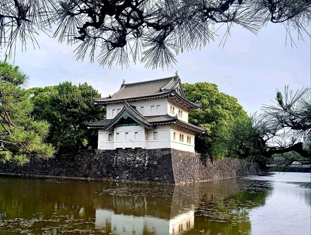 ชมรอบ Imperial Palace✨️