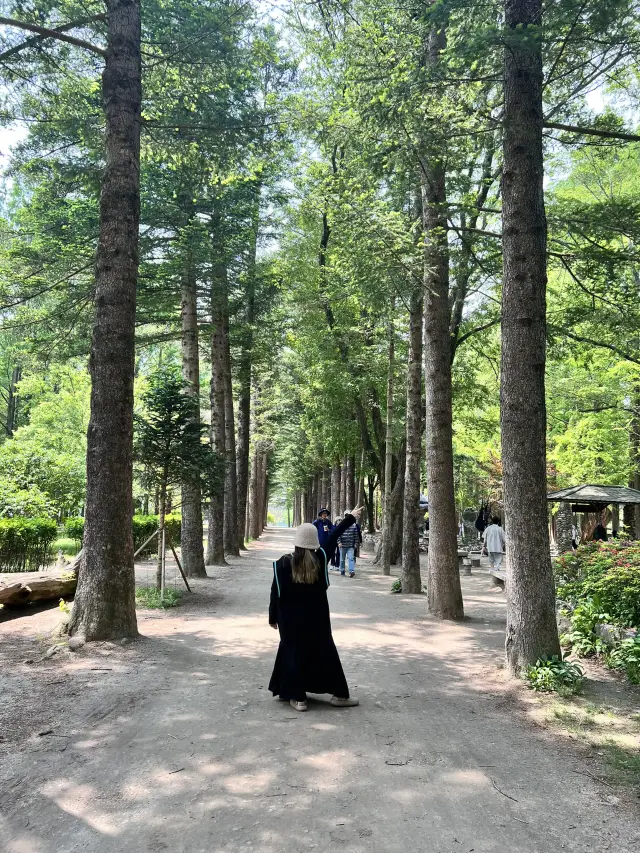 남이섬에서 방문할 만한 명소