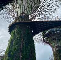 SINGAPORE Trip 24-28 February 2025