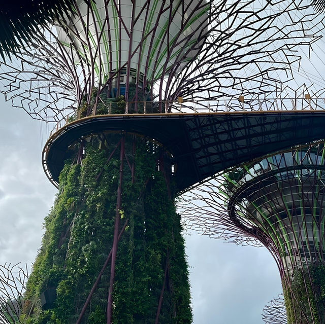 SINGAPORE Trip 24-28 February 2025