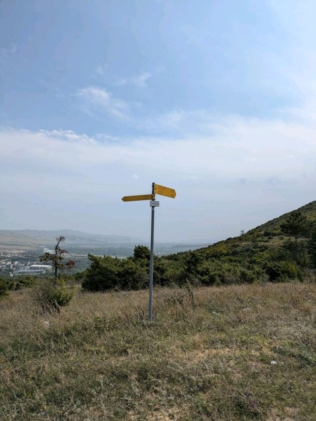 【ジョージア🇬🇪】ゴリカツレツと緑の風に誘われて