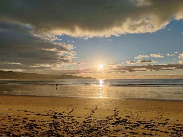 免费考拉+爆汁海鲜！阿波罗湾24h野性治愈清单