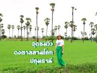 จุดชมวิวดงตาลสามโคก ที่เที่ยวปทุมธานี