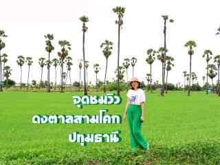 จุดชมวิวดงตาลสามโคก ที่เที่ยวปทุมธานี