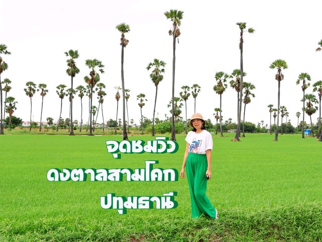 จุดชมวิวดงตาลสามโคก ที่เที่ยวปทุมธานี