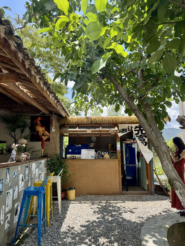 🇨🇳운남성 따리여행 자연과 하나되는 샤시구전 카페☕️🍀