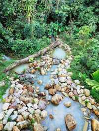 🌳🐒 “Step into the Wild!” – Asian Rainforest Adventure Singapore 