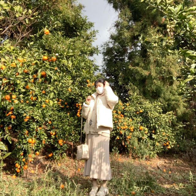 🍊✨“제주 4박5일 찐리뷰 – 무계획이 만든 인생여행 코스 총정리!”✨🍊