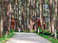 Doi Bo Luang Forest Park