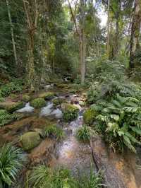 Chasing Waterfalls in Doi Inthanon