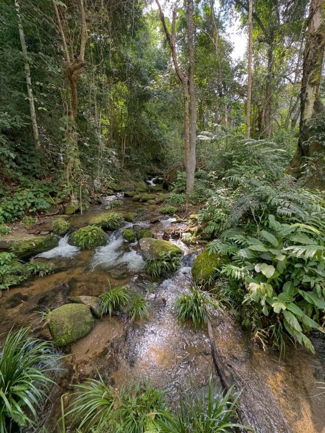 Chasing Waterfalls in Doi Inthanon