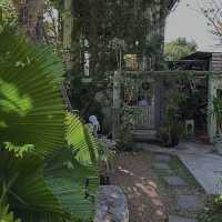 ☕ Mother Café – บ้านไม้ในสวน เหมาะนั่งทำงานสุดใจ  