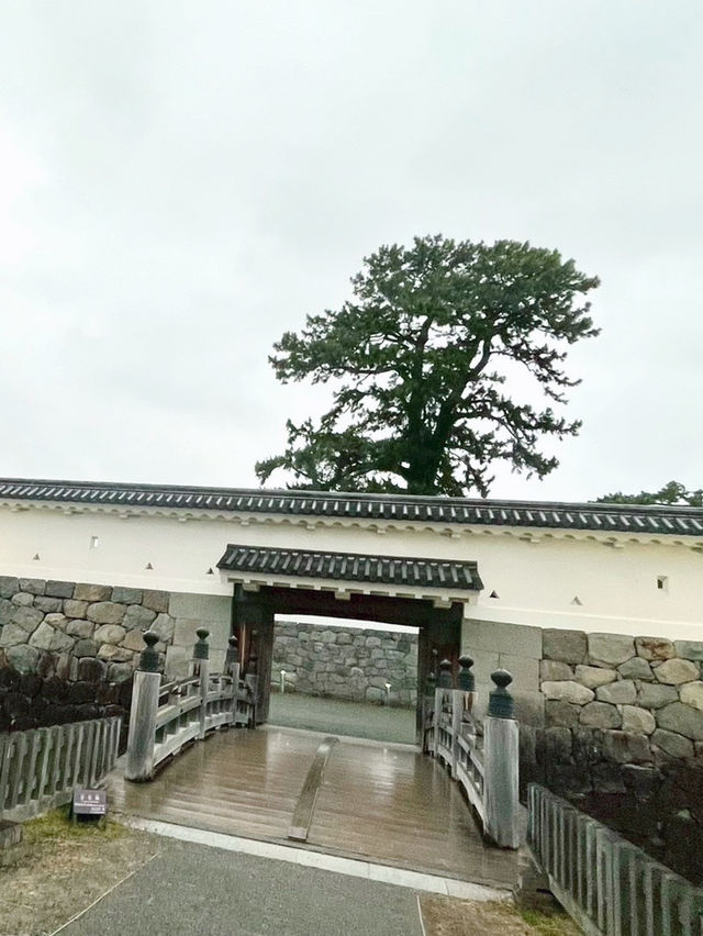 神秘又寧靜的百大名城｜小田原城夜晚也能逛！