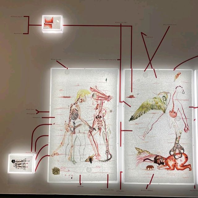 Australian Centre for Contemporary Art (ACCA)