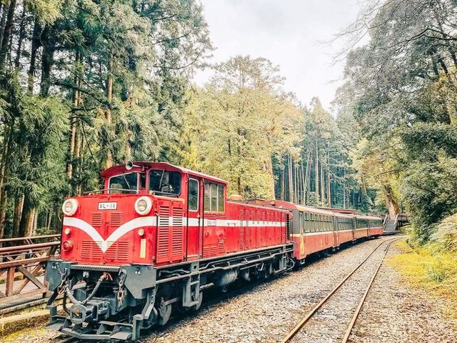 Alishan Explore 