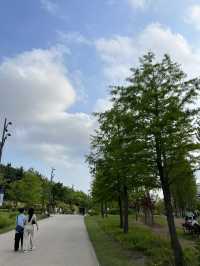Seoul Botanic Park! ธรรมชาติใจกลางโซล 🌿