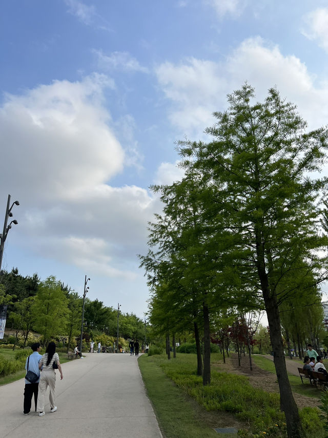 Seoul Botanic Park! ธรรมชาติใจกลางโซล 🌿
