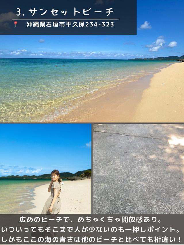 【石垣島】島観光！🏝️北部エリアスポット5選🐄🌴