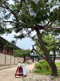 Beneath the Eaves of Heaven: Discover Gyeongbokgung