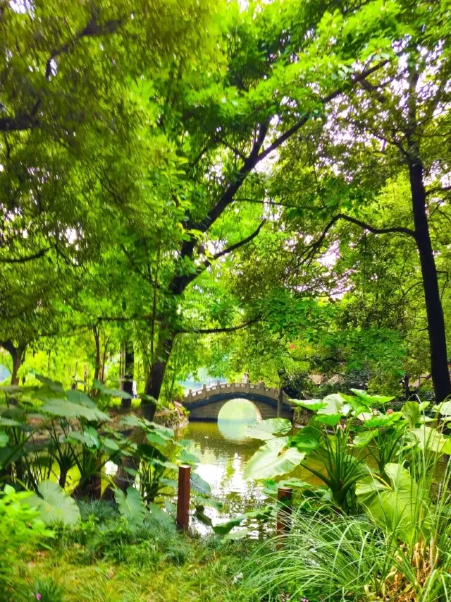 The Atmosphere of Chengdu People's Park