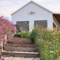 Donghouse Khaoyai — คาเฟ่บนเนินเขาวิว 360° 🌄🏡