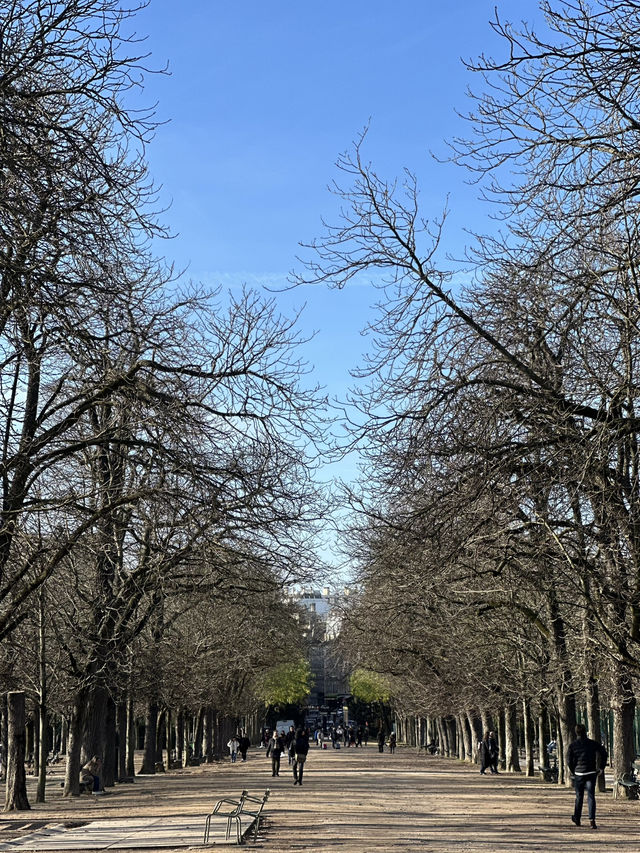 Luxembourg Garden: Where Paris Plays Hoocky
