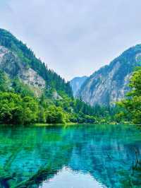 🌿✨ Discover the Enchanting Beauty of Jiuzhaigou Valley ✨🌿