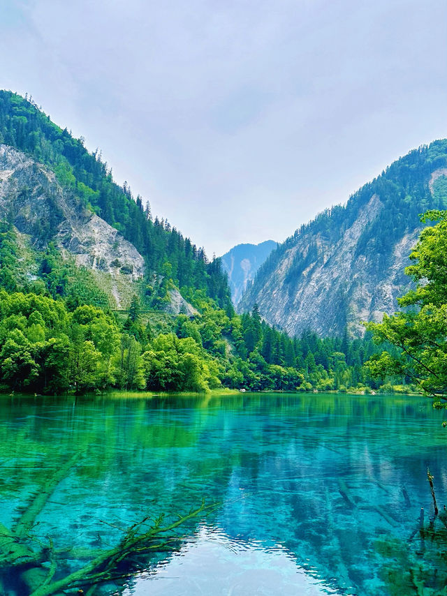 🌿✨ Discover the Enchanting Beauty of Jiuzhaigou Valley ✨🌿