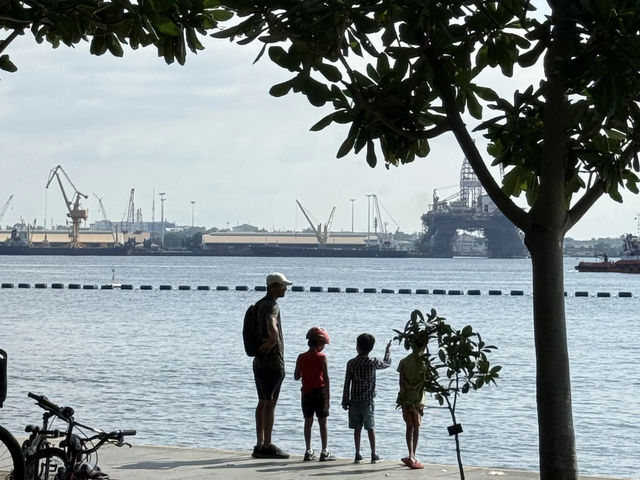 Coney Island: Singapore's Wild, Serene Escape! 🌿🐿️🚶‍♀️