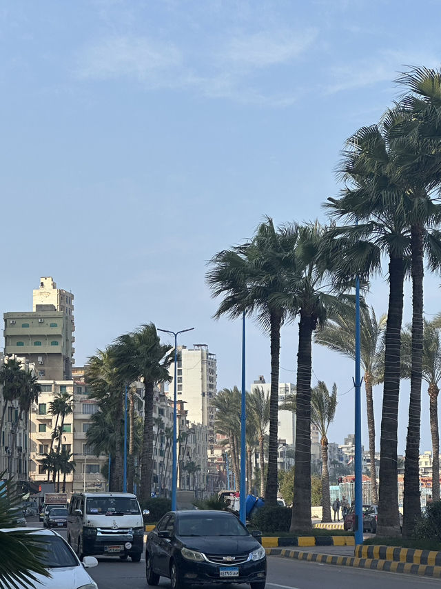 Alexandria: Burned Knowledge By The Sea