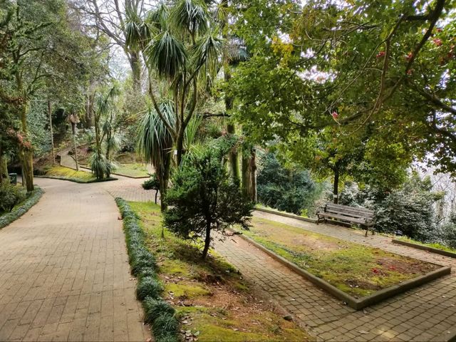 Leaf It All Behind at Batumi Botanical Garden