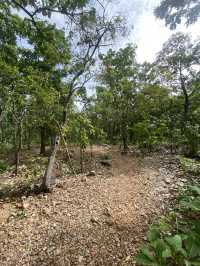 จุดชมวิวผาแดง ดอยกาน อำเภอบ้านโฮ่ง จังหวัดลำพูน