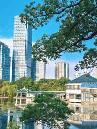 Hefei Xinghua Park’s Floating Book House | A Hidden Gem That’s Only Getting Better 📚🌸